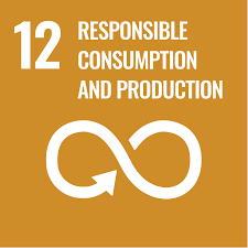 SDG 12: Responsible Consumption and Production